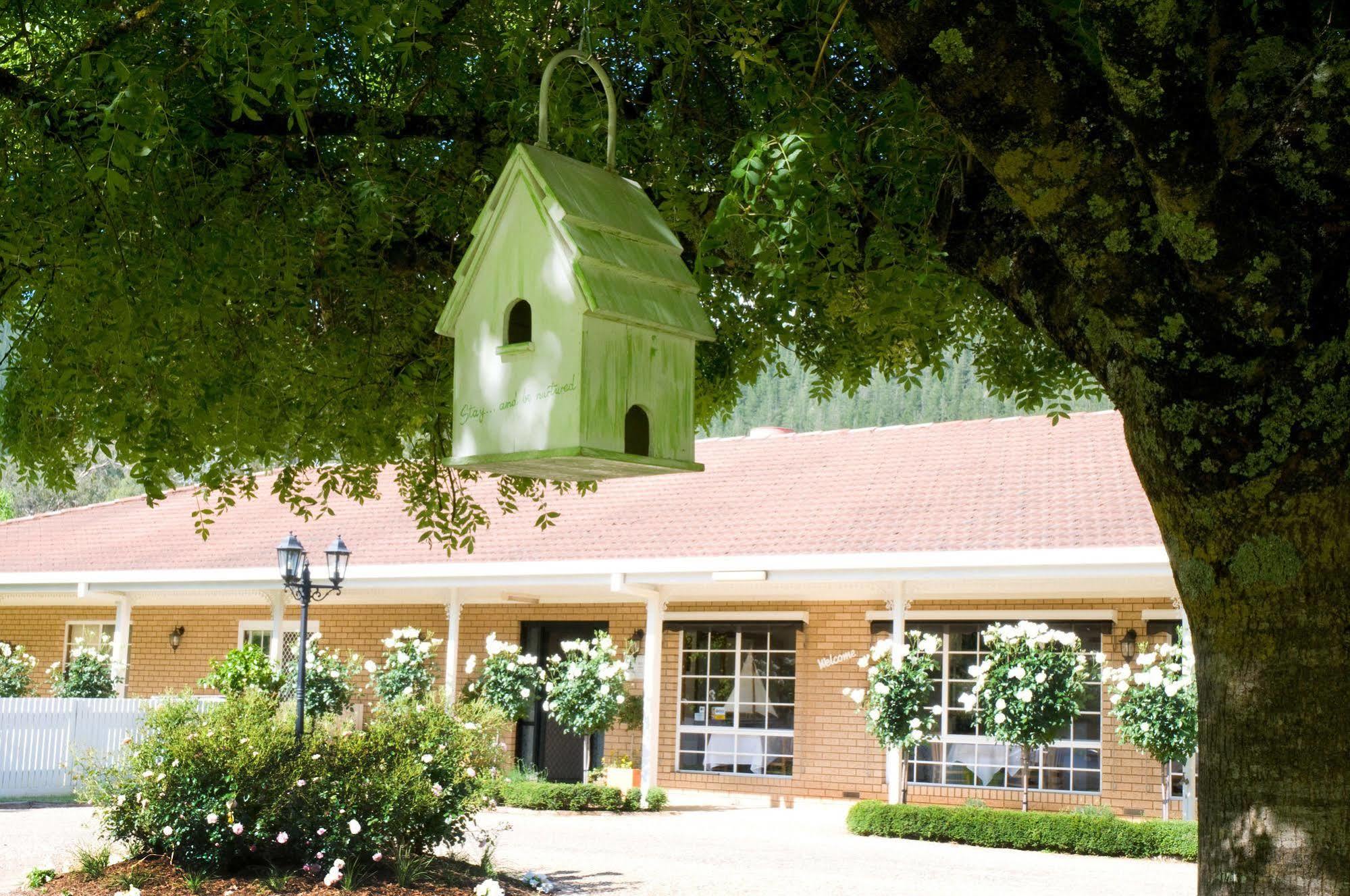 Sundowner Ovens Valley Motor Inn Bright Exterior photo